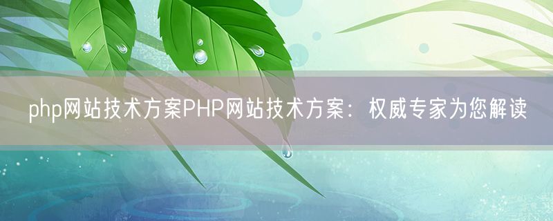 <strong>php网站技术方案PHP网站技术方案：权威专家为您解读</strong>