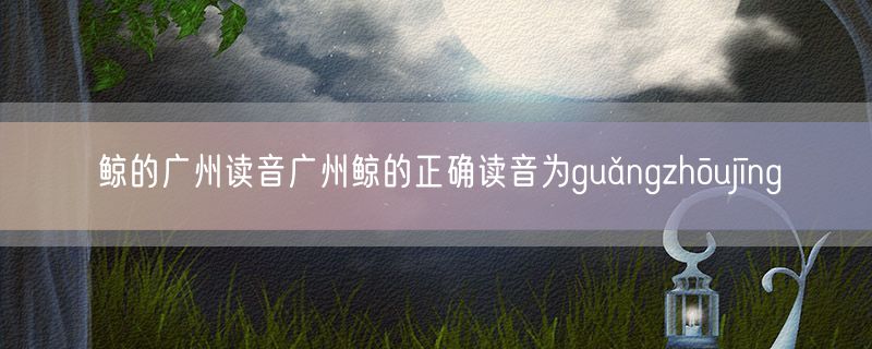 <strong>鲸的广州读音广州鲸的正确读音为guǎngzhōujīng</strong>