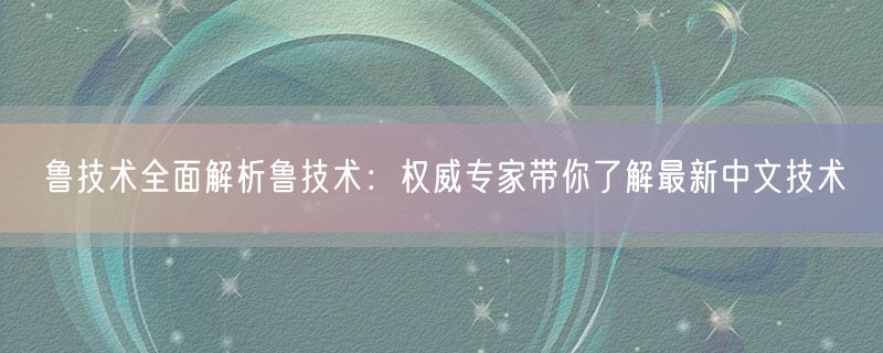鲁技术全面解析鲁技术：权威专家带你了解最新中文技术