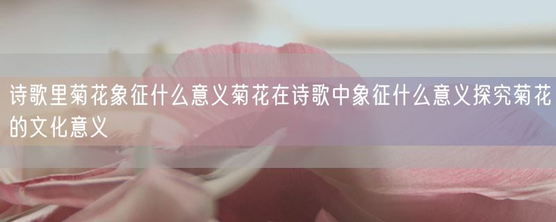 诗歌里菊花象征什么意义菊花在诗歌中象征什么意义探究菊花的文化意义
