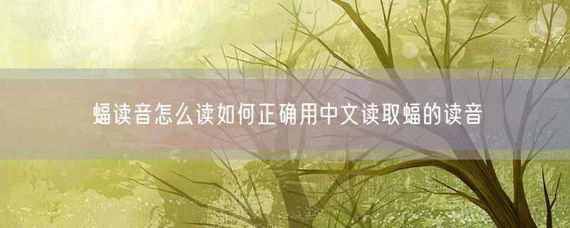 蝠读音怎么读如何正确用中文读取蝠的读音