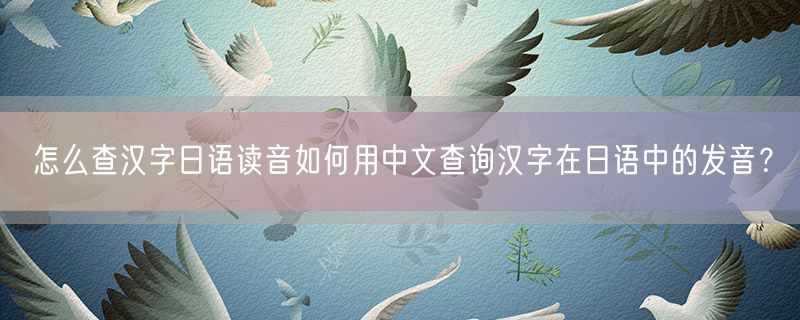 怎么查汉字日语读音如何用中文查询汉字在日语中的发音？